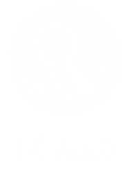 Audit Icon