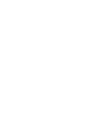 Monitonring Icon