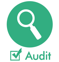 Audit Icon
